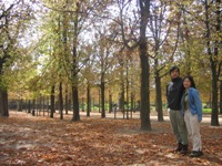 Autumn in Paris, Jardin des Tuileries